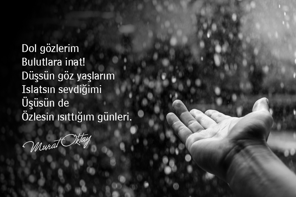 murat oktay soz3